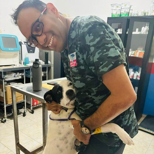 January Rescue - Meet Cash $300 Donated