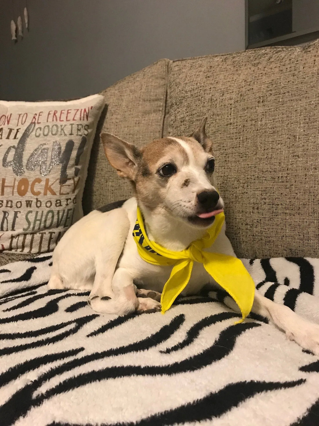June Rescue - Jack Daniels $110 Donated