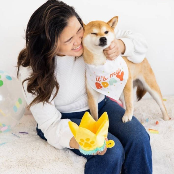 Dog Birthday Hat & Bandana Set