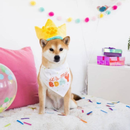 Dog Birthday Hat & Bandana Set