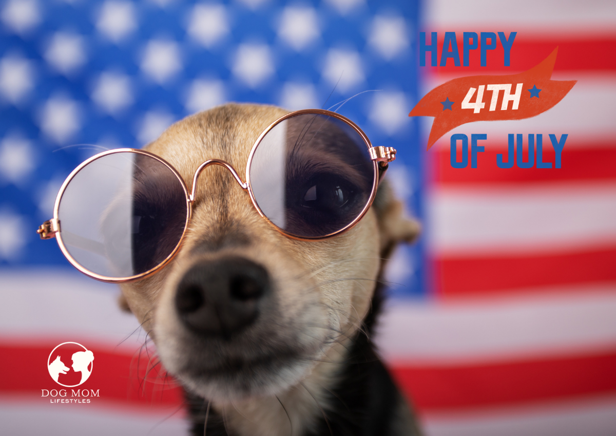 Your Dog Hates the 4th of July, Here's How to Keep Them Safe
