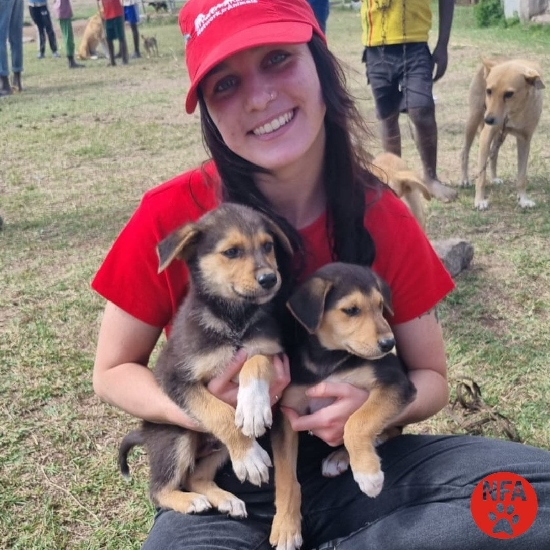 December Rescue-Network for Animals $255 Donated