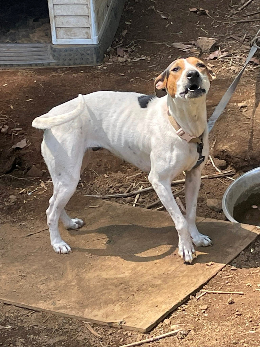 May Rescue - Hawaii Point Rescue