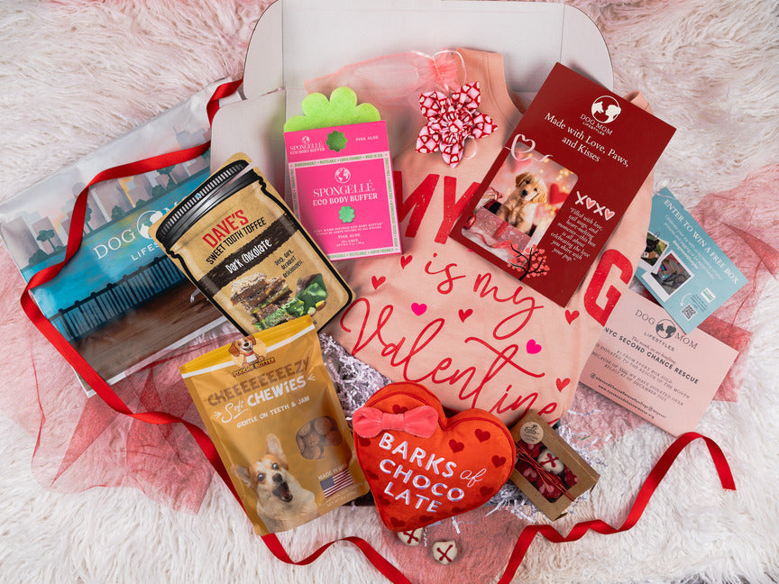 February Unboxing - My Dog Is My Valentine