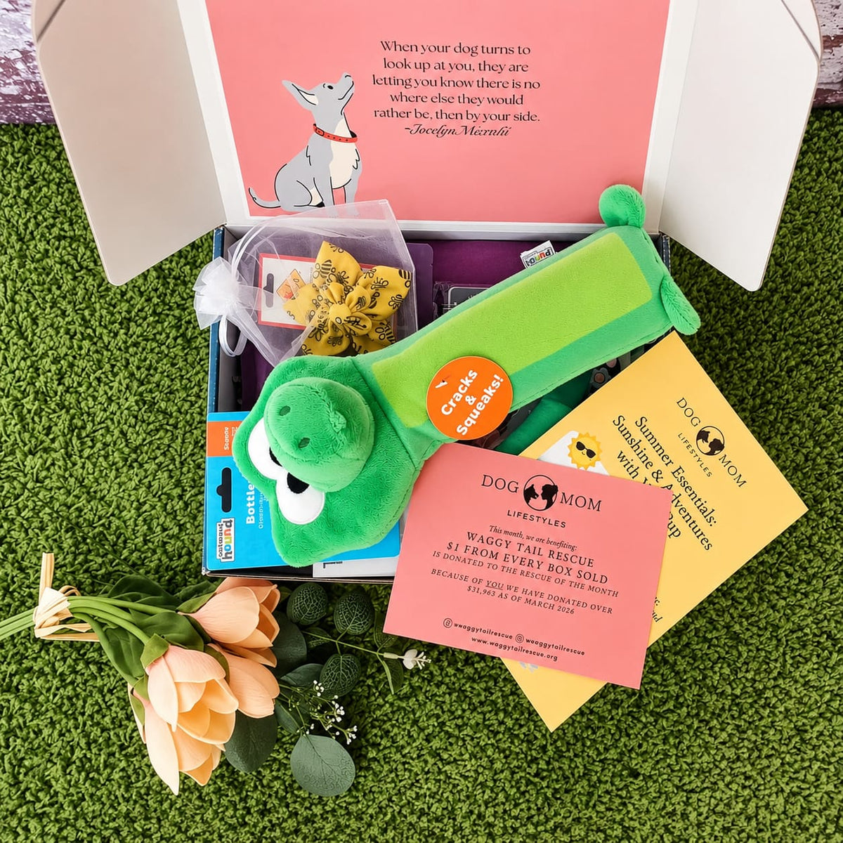 June Dog Mom Box Reveal: Summer Essentials - Sunshine & Adventures with Your Pup