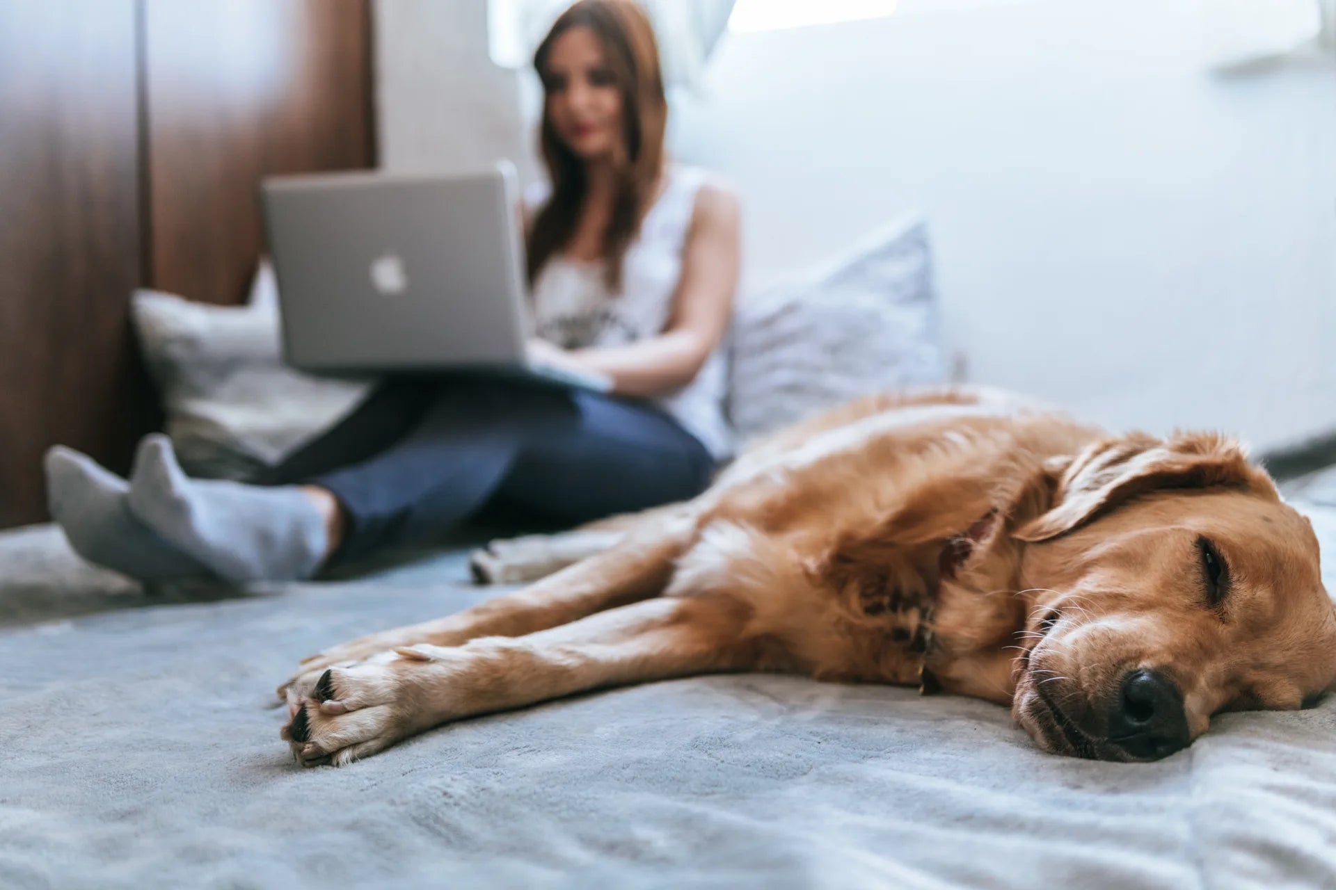 The Importance of Taking Breaks as a Dog Mom: 5 Tips to Self Care & Wellness