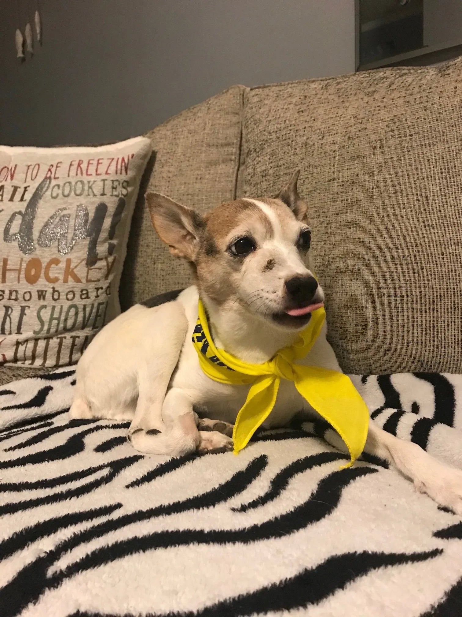 June Rescue - Jack Daniels $110 Donated