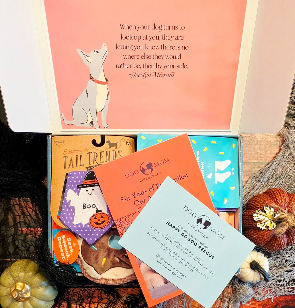 October Dog Mom Box Reveal: Six Years of Pup Smiles — Our Anniversary Celebration Box