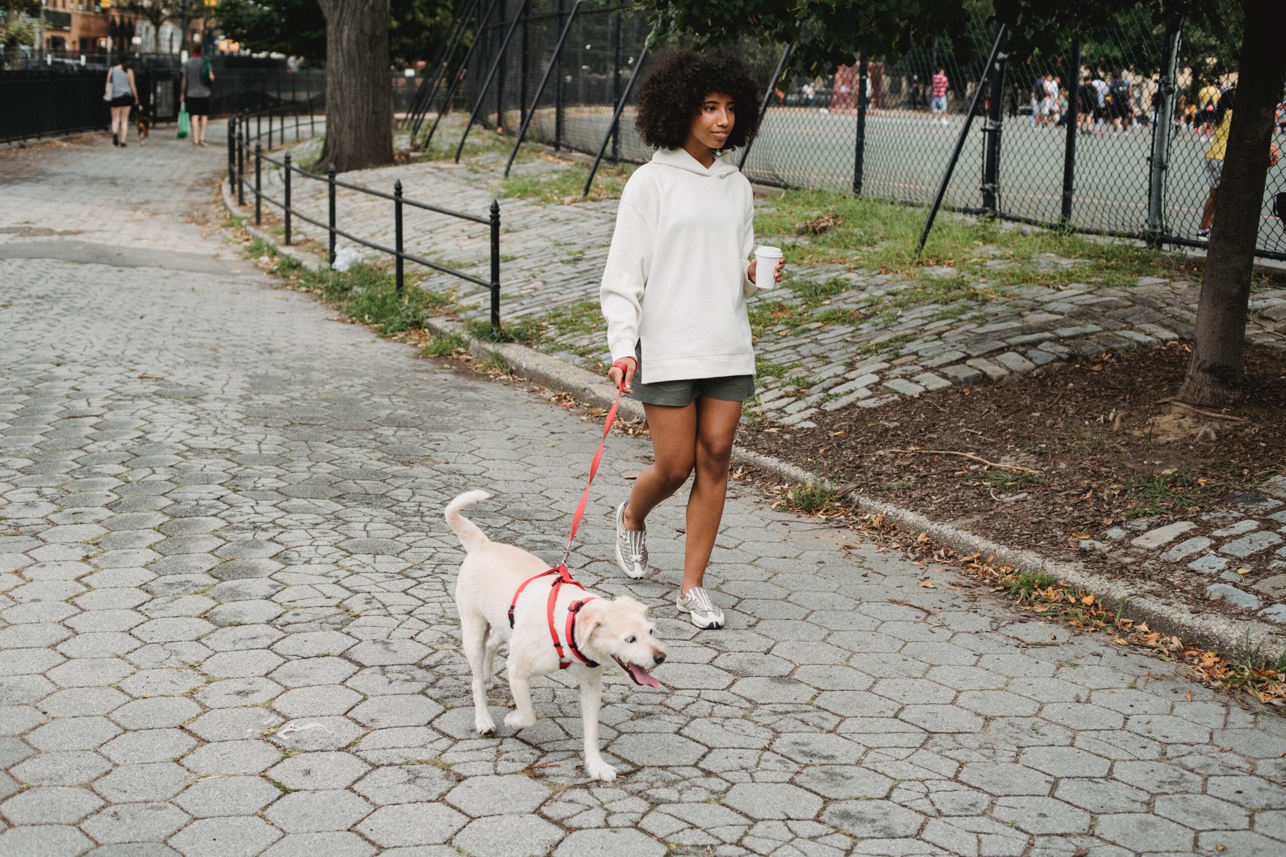 Dog Mom Walk