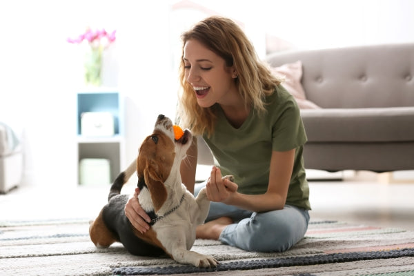 dog mom Playing with Dog