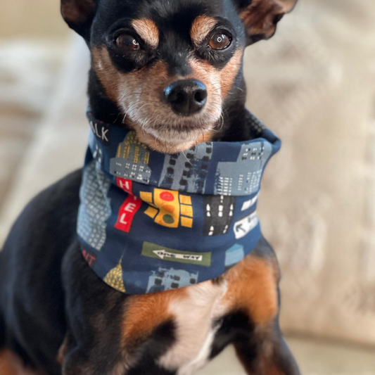 New York Dog Neck Scarf