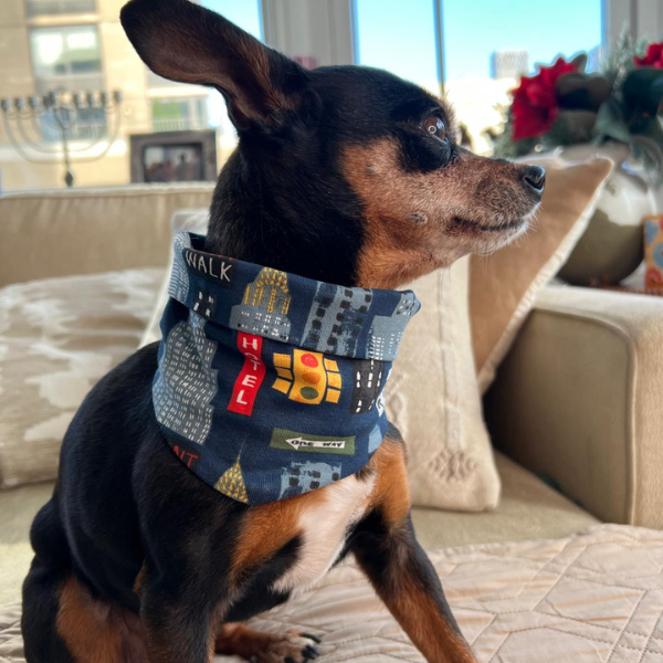 New York Dog Neck Scarf