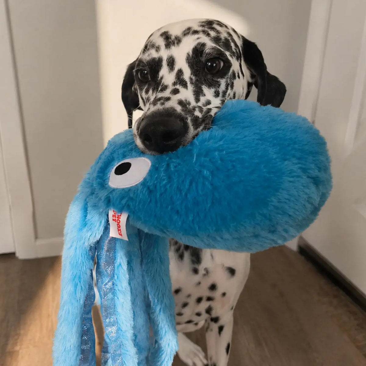 ThoozyPet Blue Sea Life Octopus Toy: Large Dog