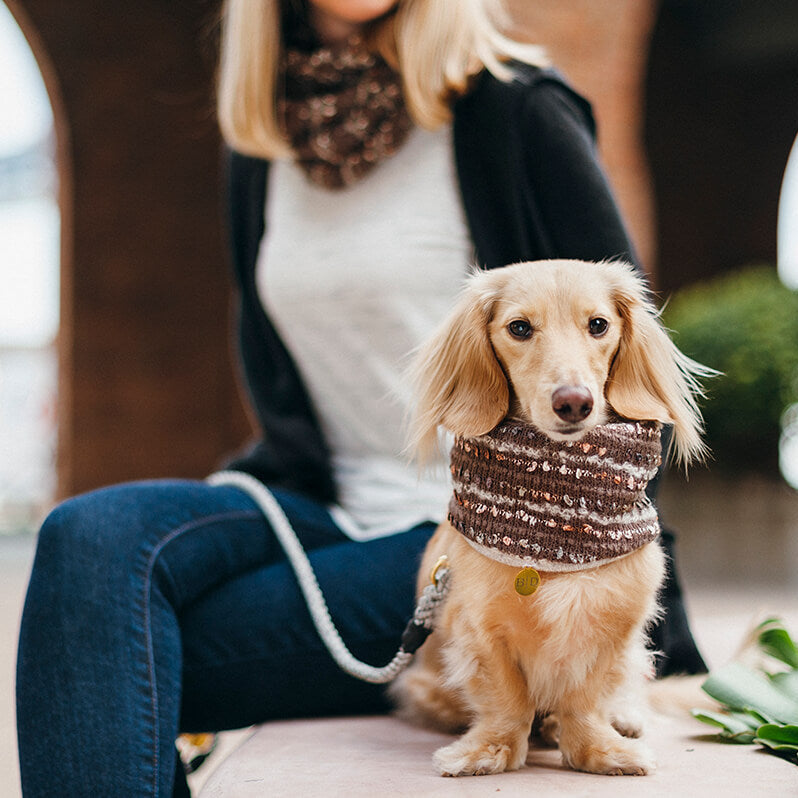 Chanel Dog Scarf