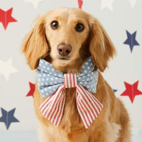Dog Collar Bow