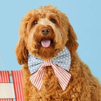 Dog Collar Bow