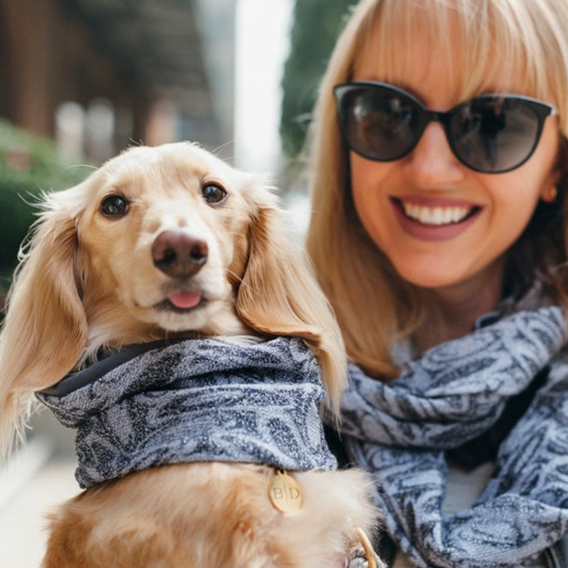 Neptune's Realm Dog Neck Scarf