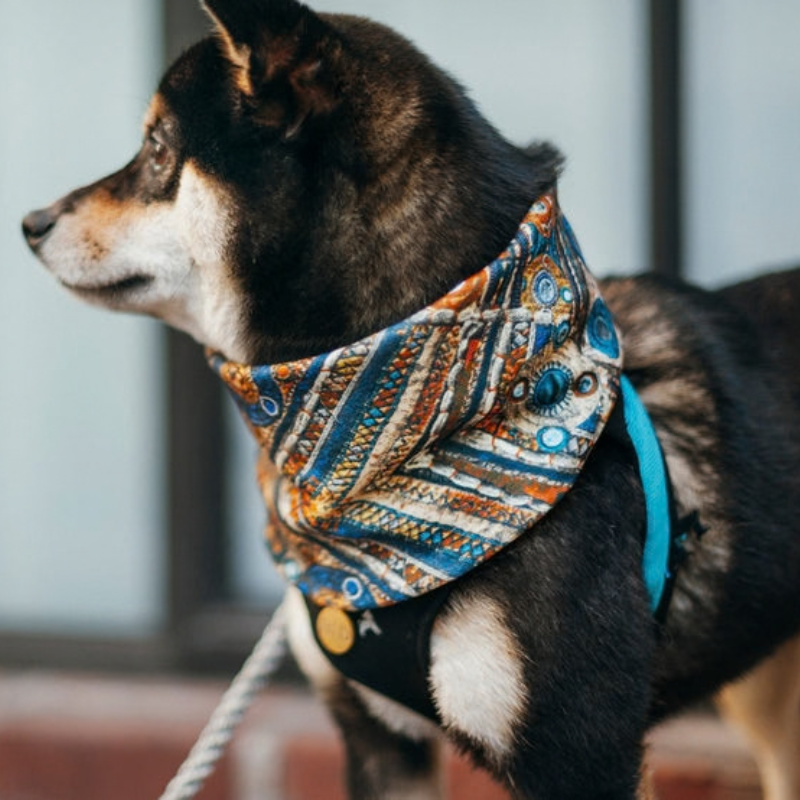 Tesoro Gems Dog Neck Scarf