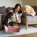 Add One More Pup Monthly Subscription