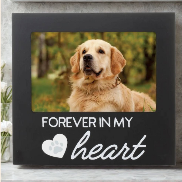 Forever in My Heart Frame- 1 left