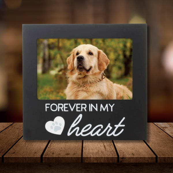 Forever in My Heart Frame- 1 left