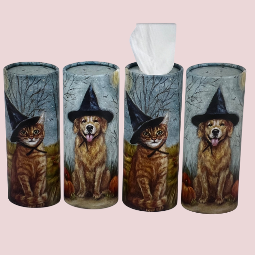 Halloween Pet Tissue Box Set