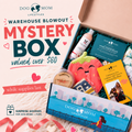 Mystery Box Surprise