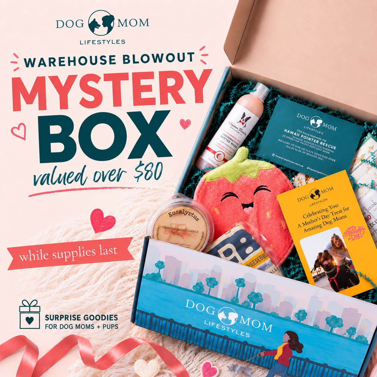 Mystery Box Surprise