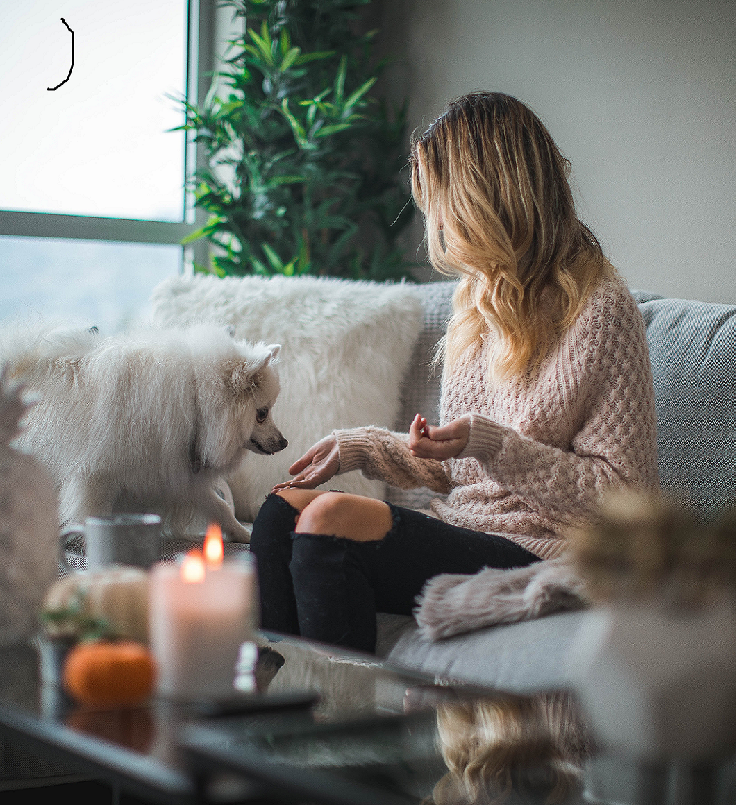 May white dog enjoying time with dog mom